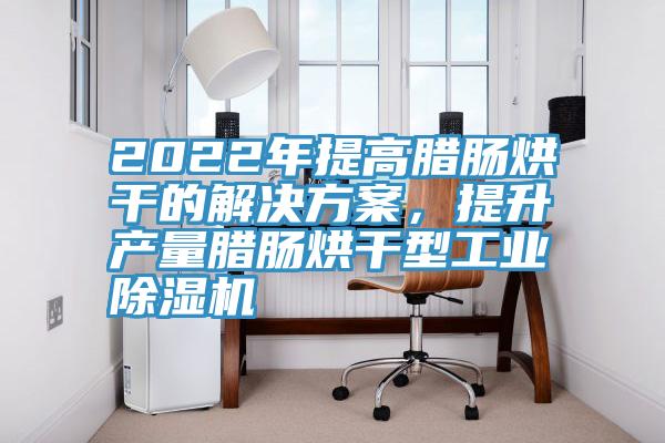 2022年提高臘腸烘干的解決方案，提升產(chǎn)量臘腸烘干型工業(yè)除濕機(jī)