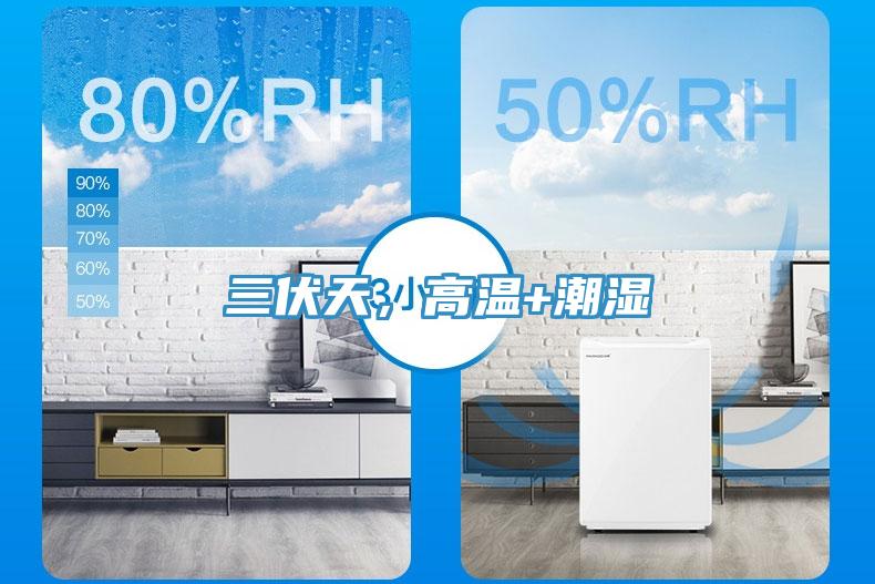 三伏天，高溫+潮濕