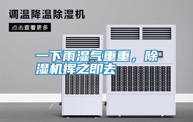 一下雨濕氣重重，除濕機揮之即去