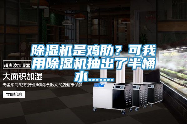 除濕機(jī)是雞肋？可我用除濕機(jī)抽出了半桶水.......