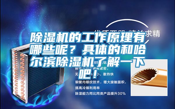 除濕機的工作原理有哪些呢？具體的和哈爾濱除濕機了解一下吧！